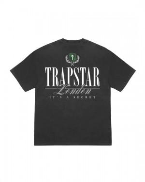 Trapstar Ts Crest 2.0 T-Shirt Herren Grau Schweiz | OZLWQJ809